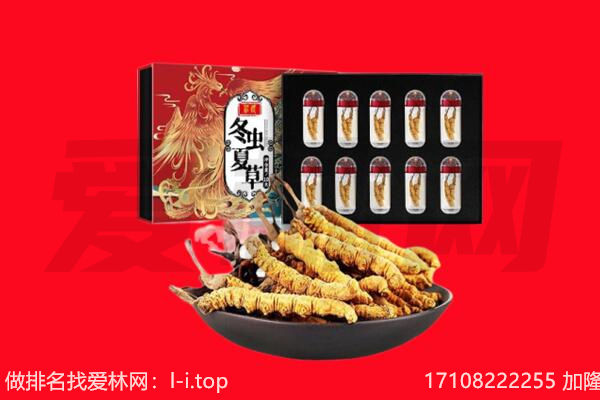 泰安回收虫草.jpg